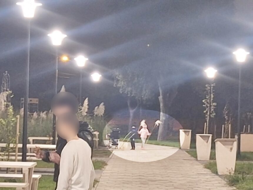 Parcul Poarta 6 din Constanța, sub asediul vandalilor: plante ornamentale distruse și sustrase imediat după înființare 1 foto vandalism in parcul poarta 6 din constanta plante decorative rupte si furate la scurt timp dupa plantare 68ef9feacf610