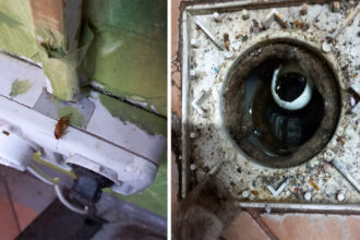 foto video alimentara din piata tomis 3 inchisa temporar de protectia consumatorilor neregulile gasite de inspectori 6900e3426438c