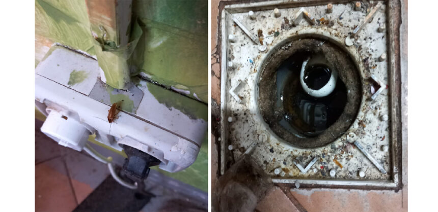 foto video alimentara din piata tomis 3 inchisa temporar de protectia consumatorilor neregulile gasite de inspectori 6900e3426438c