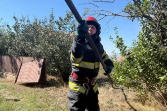 incendiu in satul nou o magazie in care se afla doua butelii cuprinsa de flacari 68e130fc844f5