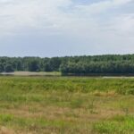 Oportunitate de investiție: Detalii despre licitația pentru închirierea unui teren portuar în Hârșova și organizatorul acestui eveniment! 3 investitorii interesati pot inchiria un teren portuar in harsova afla cand are loc licitatia si cine este organizatorul 68dd6d88bae5c