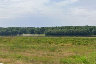 investitorii interesati pot inchiria un teren portuar in harsova afla cand are loc licitatia si cine este organizatorul 68dd6d88bae5c