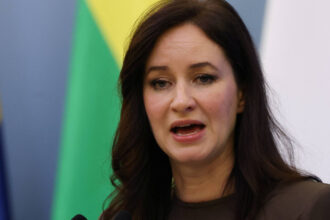 lituania va dobori baloanele care i au invadat cerul sunt provocari calculate menite sa destabilizeze si sa testeze hotararea nato 68ff95d070256