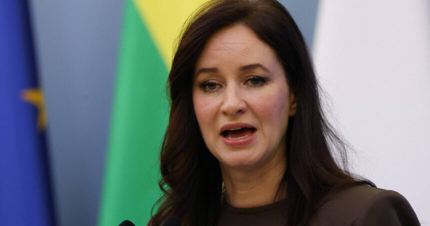 Lituania pregătește o reacție fermă la invazia baloanelor: „Aceste provocări sunt concepute pentru a submina și a pune la încercare determinarea NATO” 1 lituania va dobori baloanele care i au invadat cerul sunt provocari calculate menite sa destabilizeze si sa testeze hotararea nato 68ff95d070256