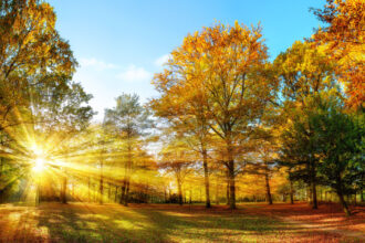 meteorologii anunta vreme mai calda si ploi mai putine in noiembrie estimarile pentru urmatoarele patru saptamani 6900735c7d224