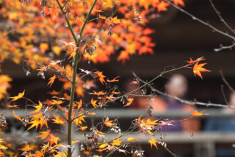 meteorologii au revizuit estimarile pentru urmatoarele saptamani cum va fi vremea in noiembrie 6904728695a60