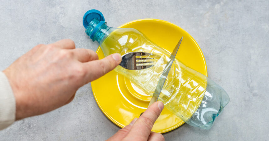 Micile invadatoare din farfuria ta: Cum ne afectează microplasticele din ouă, carne și ceai și cum putem diminua contactul cu ele? 1 microplasticele pe care le consumi zilnic fara sa stii le gasesti in oua carne si chiar in ceai cum poti reduce expunerea la ele 68debc52c6b65