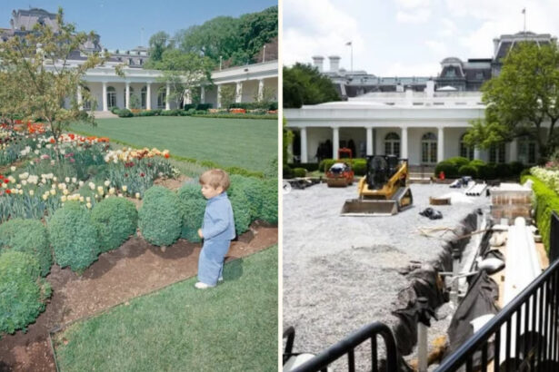 nepotul lui jackie kennedy il ataca dur pe trump pentru ca a turnat beton peste gradina de trandafiri de la casa alba 68fba1509e57e