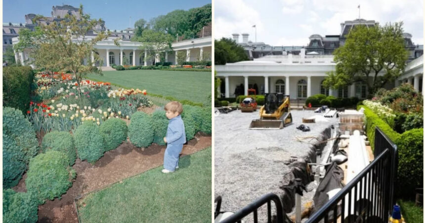 nepotul lui jackie kennedy il ataca dur pe trump pentru ca a turnat beton peste gradina de trandafiri de la casa alba 68fba1509e57e