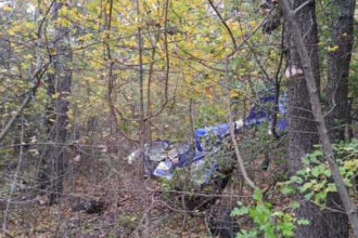 news alert avion prabusit in judetul vaslui pilotul in varsta de 65 de ani a fost gasit mort 68f9e9fcbea68
