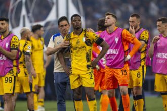 news alert tragic fotbalistul lui inter a omorat un om in scaun cu rotile cristi chivu si a anuntat decizia 6900b12400a7b