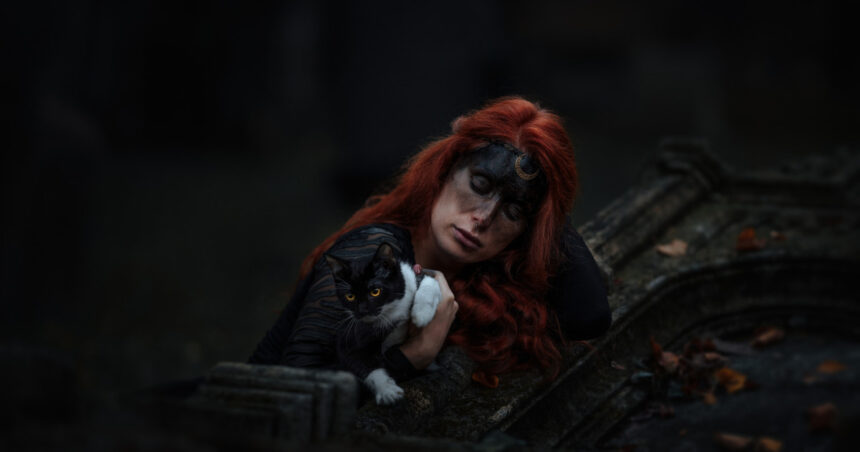 orasul din spania care a interzis adoptia pisicilor negre inainte de halloween cum explica autoritatile locale decizia 68efd5a248b16