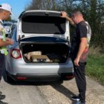 Colaborare româno-bulgară pentru securitatea la graniță 3 patrule comune romano bulgare in zona de frontiera 6904d30fda1bb