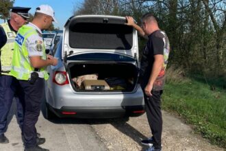 patrule comune romano bulgare in zona de frontiera 6904d30fda1bb