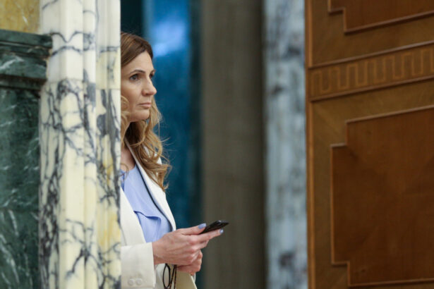 petrisor peiu e posibil ca aur sa o sustina pe anca alexandrescu pentru primaria capitalei 68ffb2020e4a0