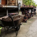 Sistem integrat pentru colectarea dejecțiilor în Albești: investiție de peste 3,4 milioane de lei, susținută prin PNRR 3 platforma comunala pentru gestionarea gunoiului de grajd in albesti proiect de peste 34 milioane de lei finantat prin pnrr 68dfbfedaf6a1