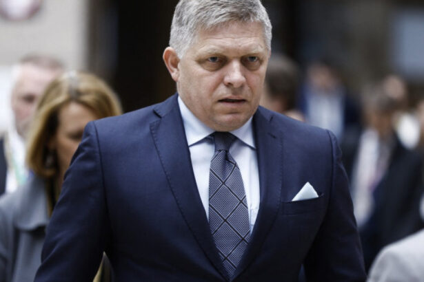 premierul slovac robert fico declara ca pes este un partid de homosexuali dupa excluderea formatiunii sale din randurile acestuia 68f670699a80b