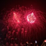 Primăria Constanța renunță la focurile de artificii de Revelion pentru a proteja animalele 2 primaria constanta renunta la artificiile din noaptea revelion pentru protejarea animalelor 6901e6919258a