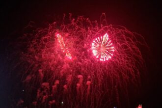 primaria constanta renunta la artificiile din noaptea revelion pentru protejarea animalelor 6901e6919258a