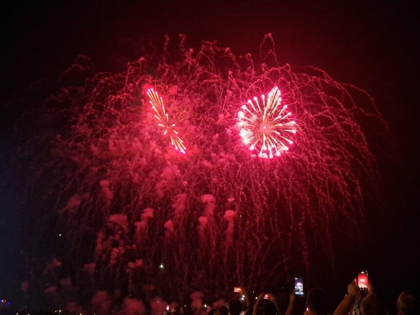 Primăria Constanța renunță la focurile de artificii de Revelion pentru a proteja animalele 1 primaria constanta renunta la artificiile din noaptea revelion pentru protejarea animalelor 6901e6919258a