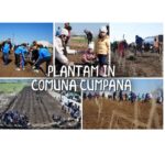 Cumpăna se alătură Asociației Creștem România Împreună pentru a construi un viitor sustenabil! 2 primaria cumpana in parteneriat cu asociatia crestem romania impreuna se mobilizeaza pentru un viitor verde 6900ca8b72bbc