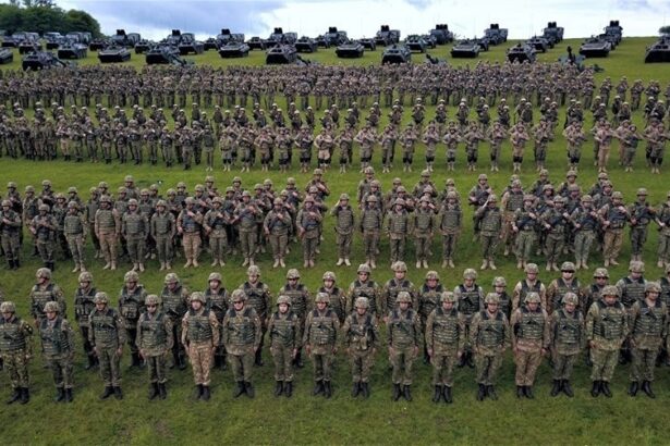 sedinta importanta la guvern 6 000 de euro pentru patru luni de pregatire miliara vezi aici ce proiecte de legi analizeaza executivul 68de245532784