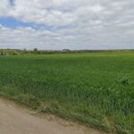 Teren agricol din 23 August, reintrat în circuitul licitațiilor în urma unei executări silite. Reducere de 25% la preț! 2 teren arabil din 23 august scos din nou la licitatie intr un dosar de executare silita pretul redus cu 25 68f307a7c5481