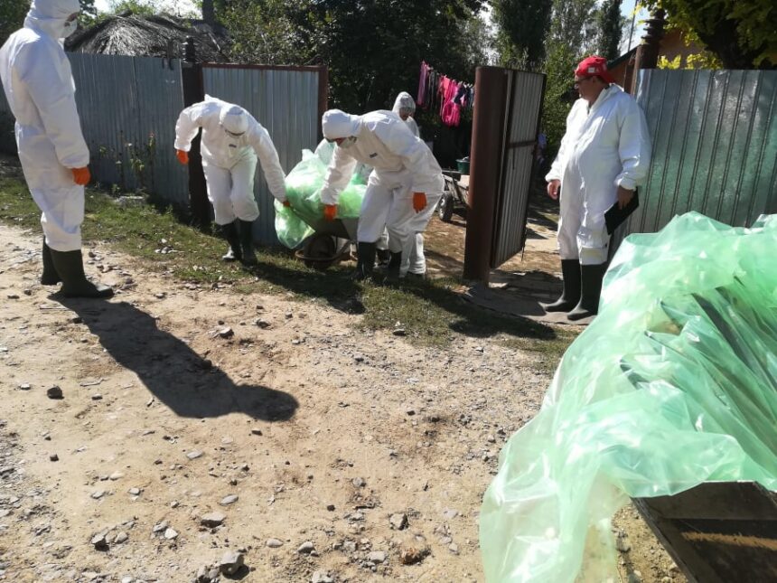 Alerta de pestă porcină africană în comuna Nicolae Bălcescu: un nou focar descoperit! 1 un focar de pesta porcina africana a fost confirmat in localitatea nicolae balcescu 68f0e5ee6f147
