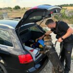 Un șofer din Corbu, surprins în stare de ebrietate la volan. Descoperirile șocante ale poliției în Ciobanu și Năvodari! 2 un sofer din corbu prins beat crita la volan iata ce probleme au mai gasit politistii in ciobanu si navodari 68e3a70194467
