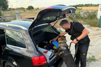 un sofer din corbu prins beat crita la volan iata ce probleme au mai gasit politistii in ciobanu si navodari 68e3a70194467