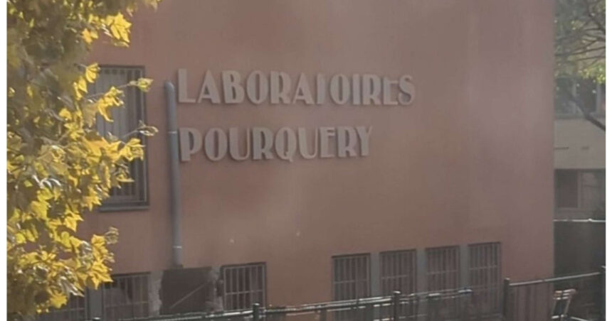 Lyon în alerta: Grup de atacatori înarmați a devastat o rafinărie de metale prețioase cu explozibili. 6 persoane reținute! 1 video atac spectaculos la lyon indivizi inarmati au folosit explozibili pentru a jefui o rafinarie de metale pretioase 6 suspecti arestati 690460f1c83a7