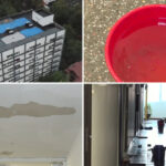 Ploaie în case după o renovare eșuată: Zeci de locatari se confruntă cu un adevărat coșmar! 2 video bloc inundat de ploi dupa o renovare ratata cosmarul pe care il traiesc zeci de oameni care s au trezit ca le ploua in case 68eb696c106d7