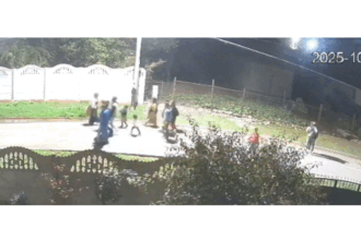 video calvarul trait de o femeie din cumpana terorizata de vecini si de copiii acestora continua ce transmite politia locala 68ed0e6371d1f