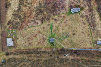 video codrii vlasiei protejati prea tarziu padurea uriasa a ajuns un petic de verdeata zona va fi parte din centura verde a capitalei 6900b63810713