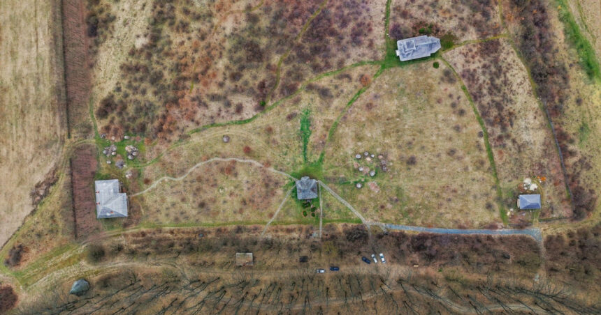 Codrii Vlăsiei, salvare întârziată: pădurea imensă s-a transformat într-un colț de natură. Regiunea va deveni parte din Centura Verde a Bucureștiului. 1 video codrii vlasiei protejati prea tarziu padurea uriasa a ajuns un petic de verdeata zona va fi parte din centura verde a capitalei 6900b63810713