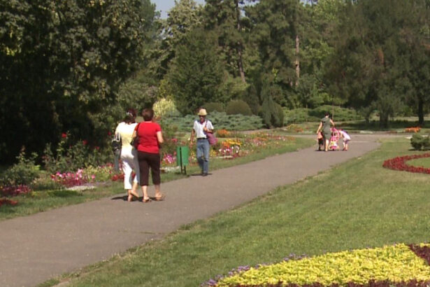video dupa ploi vine un weekend cu vreme blanda sefa anm anunta pana la cat vor urca temperaturile in tara 68e8e9a6aca7a