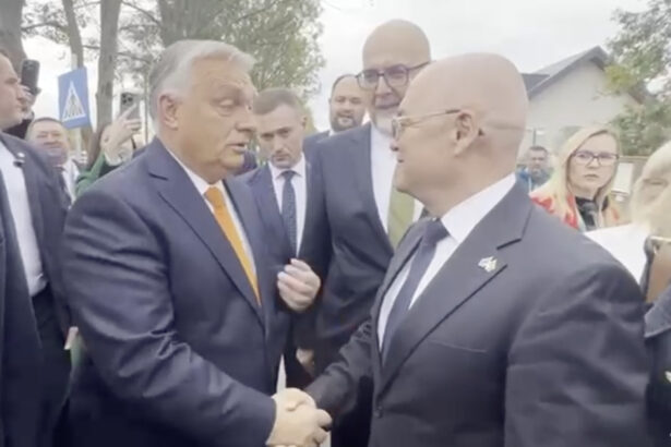 video emil boc a dat din coate sa ajunga la viktor orban dupa congresul udmr simtiti va liber sa veniti oricand la usa mea 68ea170050f98
