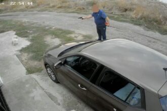 video individul care a tras cu un pistol cu bile intr un caine in palazu mare dus la audieri 68dcf1a27ad5a