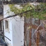 Cascada de vânt care răstoarnă un copac peste o locuință în inima Bucureștiului 2 video momentul in care vantul puternic doboara un copac peste o casa in bucuresti 68dfd99bb32d1