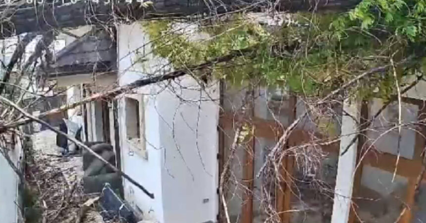 Cascada de vânt care răstoarnă un copac peste o locuință în inima Bucureștiului 1 video momentul in care vantul puternic doboara un copac peste o casa in bucuresti 68dfd99bb32d1