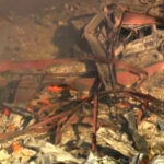 Tragedie în Tennessee: Explozie devastatoare la o fabrică de explozibili lasă victime și răniți 3 video morti si raniti in urma unei explozii puternice produse la o fabrica de explozibili militari din tennessee 68e9533fe4716