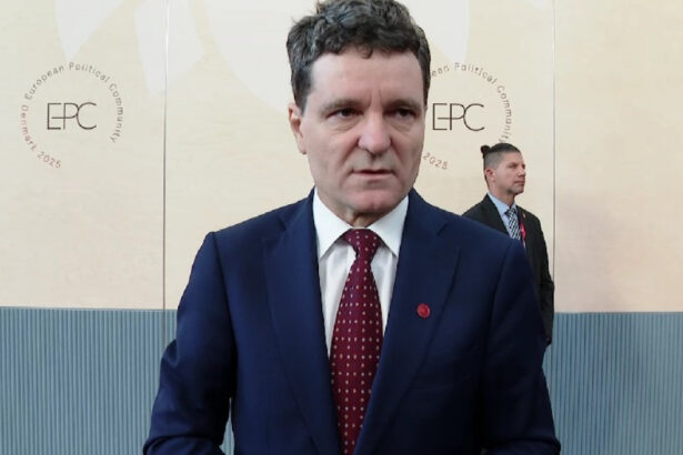 video nicusor dan explica liderilor ue cum a influentat rusia alegerile o sa vorbesc despre incercarile gruparii potra de destabilizare 68de44f8374de