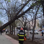 Furtuna de vânt lovește Bucureștiul: Pompierii ISU intervin de 36 de ori, 23 de vehicule afectate! 2 video pompierii de la isu bucuresti ilfov au avut 36 de interventii in urma vantului puternic 23 de masini au fost avariate 68df6c486b2a3