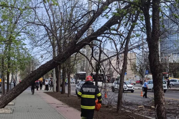 video pompierii de la isu bucuresti ilfov au avut 36 de interventii in urma vantului puternic 23 de masini au fost avariate 68df6c486b2a3