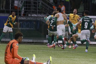 video remontada senzationala si calificare in finala copa libertadores dupa un penalty in ultimele minute 690469ce1127b