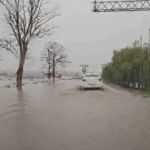 Traseul dinspre Tariverde este îngreunat de inundații pe DN 22! 2 video se circula greu pe dn 22 la iesire din tariverde apa a inundat soseaua 68e6145d0cc15