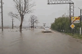 video se circula greu pe dn 22 la iesire din tariverde apa a inundat soseaua 68e6145d0cc15