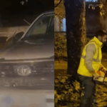 Un copac răvășitor a zdrobit o mașină pe aleea Timonei din Constanța 3 video un copac a cazut peste o masina aflata pe aleea timonei din constanta 68e56872eb424