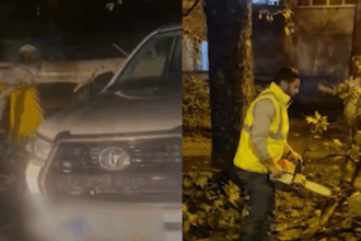 video un copac a cazut peste o masina aflata pe aleea timonei din constanta 68e56872eb424