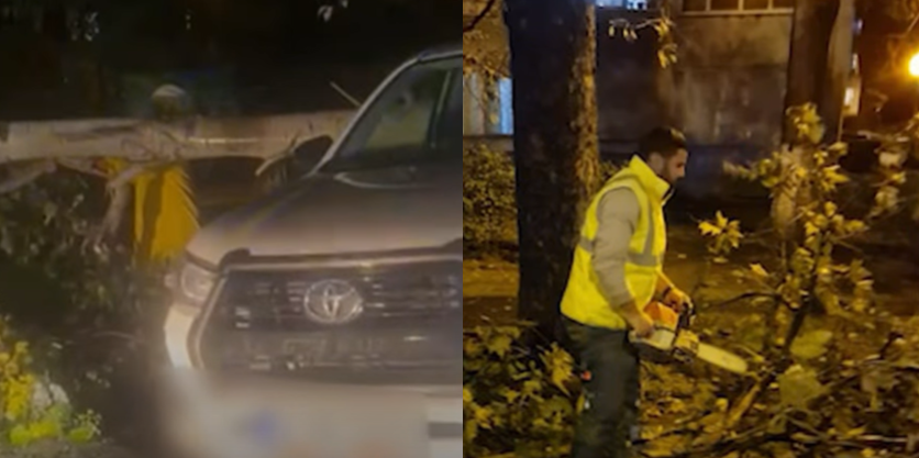 Un copac răvășitor a zdrobit o mașină pe aleea Timonei din Constanța 1 video un copac a cazut peste o masina aflata pe aleea timonei din constanta 68e56872eb424